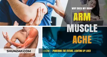 Right Arm Muscle Ache: Causes, Remedies, and When to Seek Help