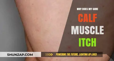Why Sore Calf Muscles Itch: Causes and Relief Explained
