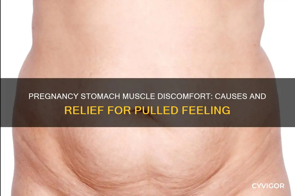 why does my stomach muscle feel pulled during pregnancy