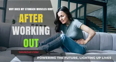 Post-Workout Stomach Muscle Pain: Causes and Remedies Explained