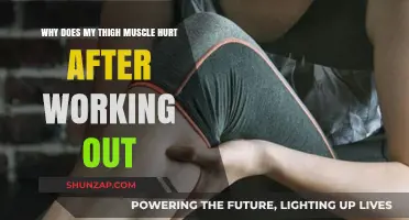 Post-Workout Thigh Pain: Causes and Remedies for Sore Muscles