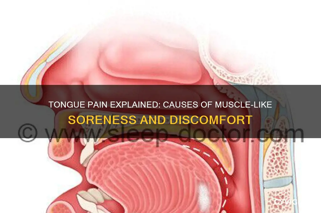 why does my tongue feel like a pulled muscle