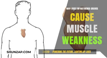 Understanding Myasthenia Gravis: The Root Cause of Muscle Weakness Explained