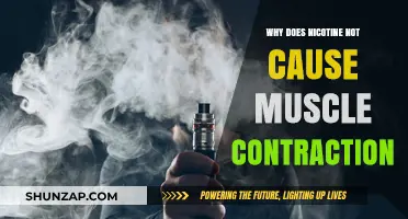 Nicotine's Role: Why It Doesn't Trigger Muscle Contractions Explained