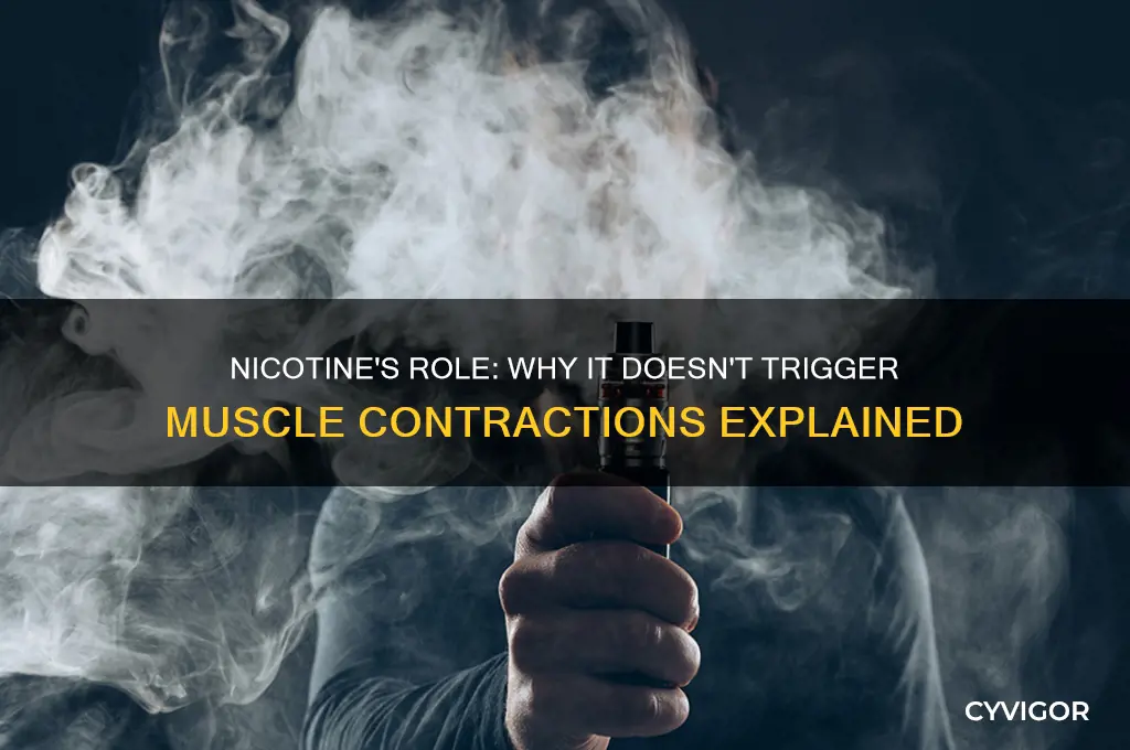 why does nicotine not cause muscle contraction
