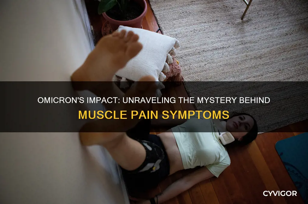 why does omicron cause muscle pain