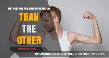 Unbalanced Arms: Why One Side Shows More Muscle Than the Other