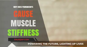 Parkinson's and Muscle Stiffness: Understanding the Neurological Connection