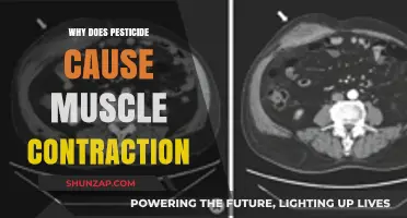Pesticides and Muscle Contractions: Unraveling the Toxic Connection