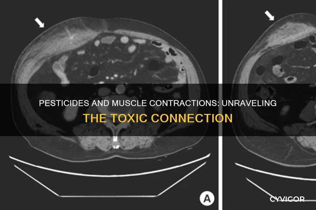 why does pesticide cause muscle contraction