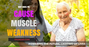 Understanding PN-Induced Muscle Weakness: Causes, Symptoms, and Management Strategies