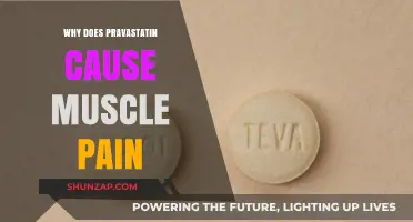 Pravastatin and Muscle Pain: Understanding the Link and Relief Options