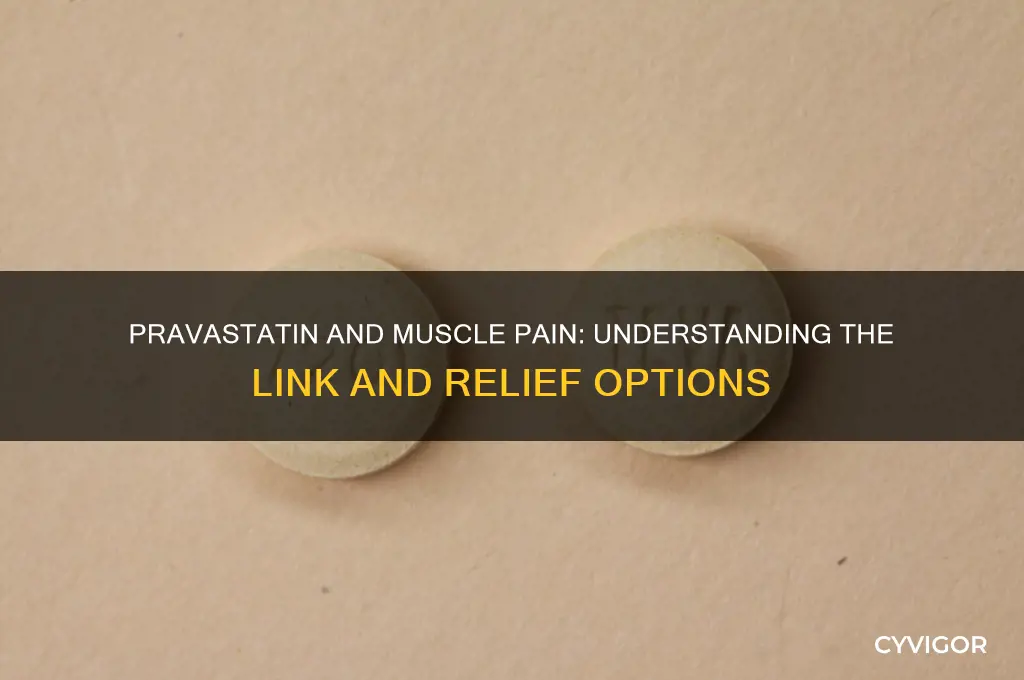 why does pravastatin cause muscle pain