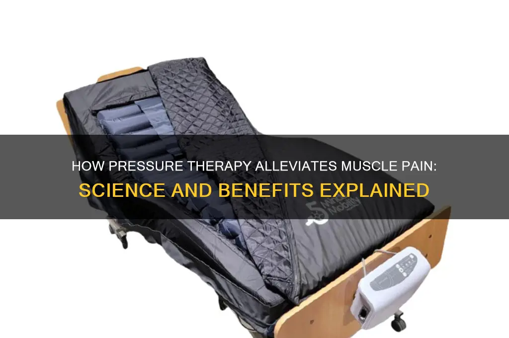 why does pressure releieve muscle pain