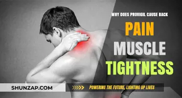 Provigil Side Effects: Understanding Back Pain and Muscle Tightness Causes