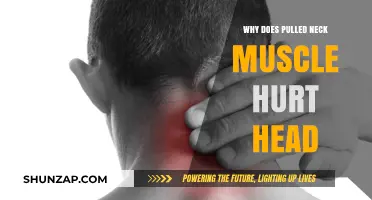 Pulled Neck Muscle and Headaches: Understanding the Pain Connection