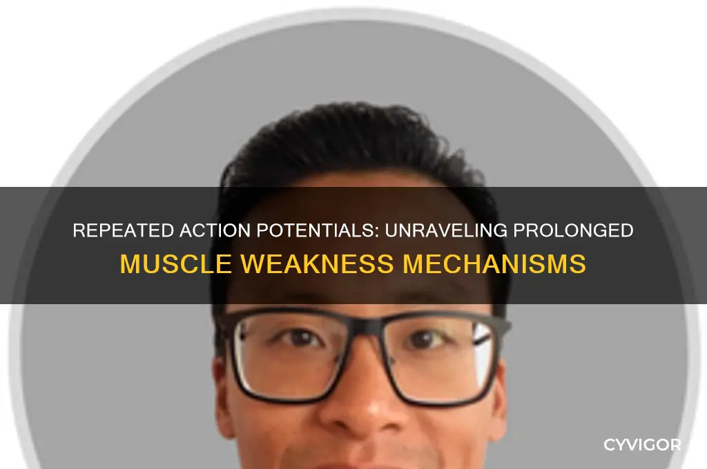 why does repeated action potential cause prolonged muscle weakness