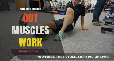 Rolling Out Muscles: Unlocking Pain Relief and Enhanced Recovery
