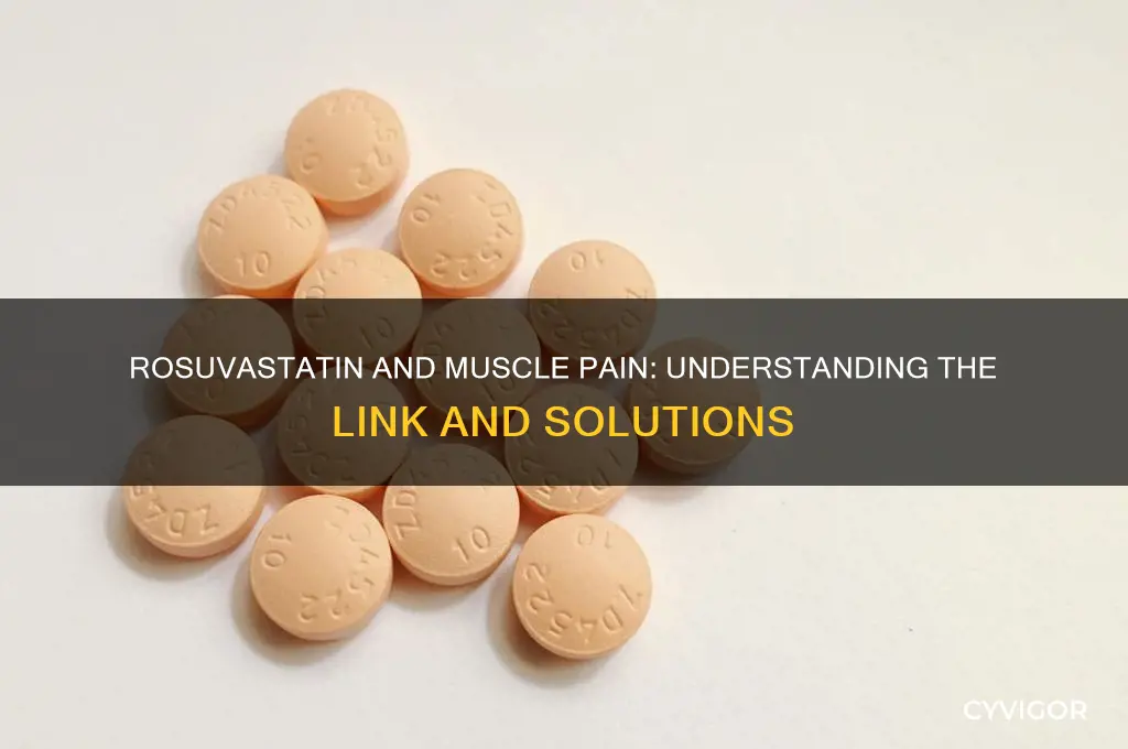 why does rosuvastatin cause muscle pain