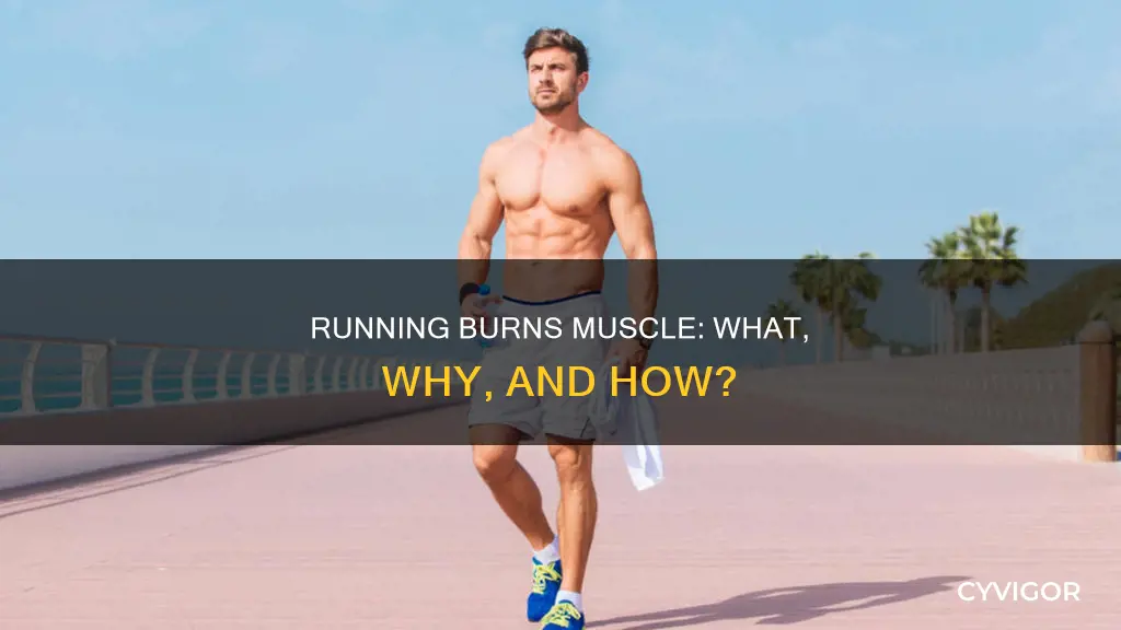 why does running burn muscle