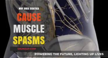 Sciatica and Muscle Spasms: Understanding the Painful Connection