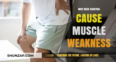 Sciatica and Muscle Weakness: Understanding the Connection and Causes