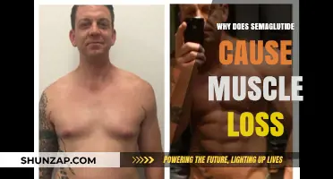 Semaglutide and Muscle Loss: Understanding the Connection and Risks