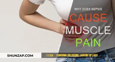Sepsis-Induced Muscle Pain: Understanding the Connection