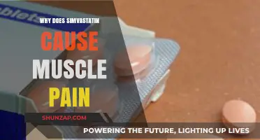 Simvastatin and Muscle Pain: Understanding the Uncomfortable Side Effect
