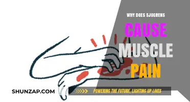 Understanding Sjögren's Syndrome: Unraveling the Link to Muscle Pain