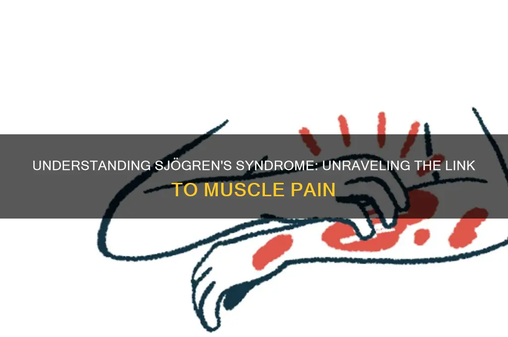 why does sjogrens cause muscle pain