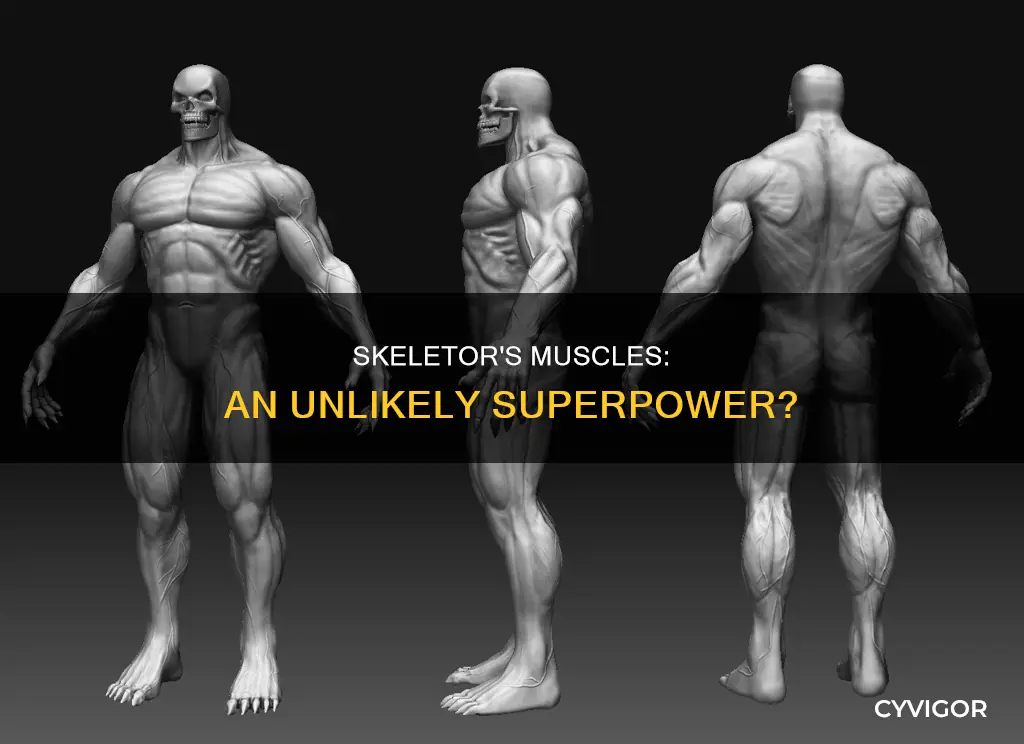 why does skeletor have muscles