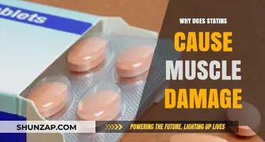 Understanding Statins: Unraveling the Link to Muscle Damage and Pain