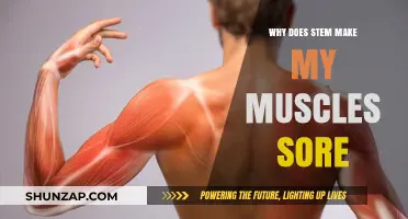 Why STEM Workouts Cause Muscle Soreness: Understanding the Science Behind It