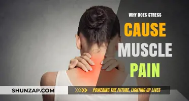 Stress and Muscle Pain: Unraveling the Mind-Body Connection