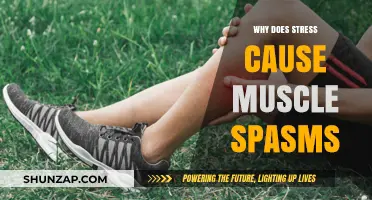 Stress and Muscle Spasms: Unraveling the Mind-Body Connection