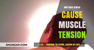 Stress and Muscle Tension: Understanding the Mind-Body Connection