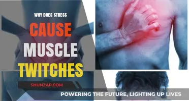 Stress and Muscle Twitches: Unraveling the Mind-Body Connection
