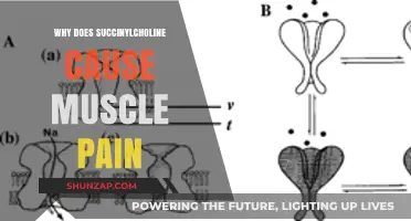Why Succinylcholine Triggers Muscle Pain: Unraveling the Mechanism