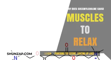 How Succinylcholine Induces Muscle Relaxation: A Scientific Explanation