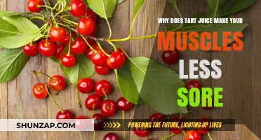 Tart Juice's Secret: How It Eases Muscle Soreness After Workouts