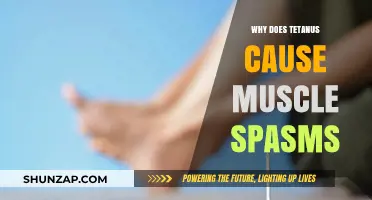 Tetanus Toxin: Unraveling the Science Behind Muscle Spasms and Cramps