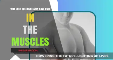 Understanding Right Arm Muscle Pain: Causes, Symptoms, and Relief Tips