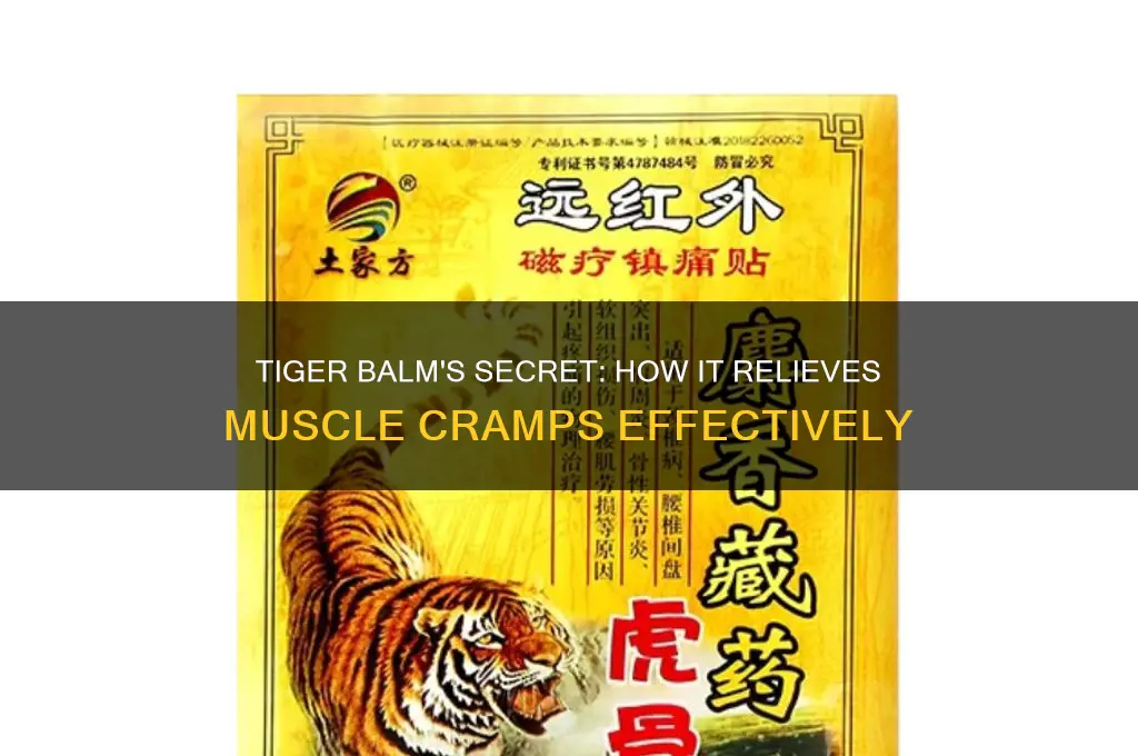 why does tiger balm work on muscle cramps