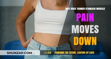 Why Torn Stomach Muscle Pain Moves Down: Causes and Relief