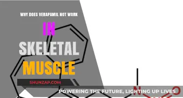 Verapamil's Ineffectiveness in Skeletal Muscle: Unraveling the Mechanism