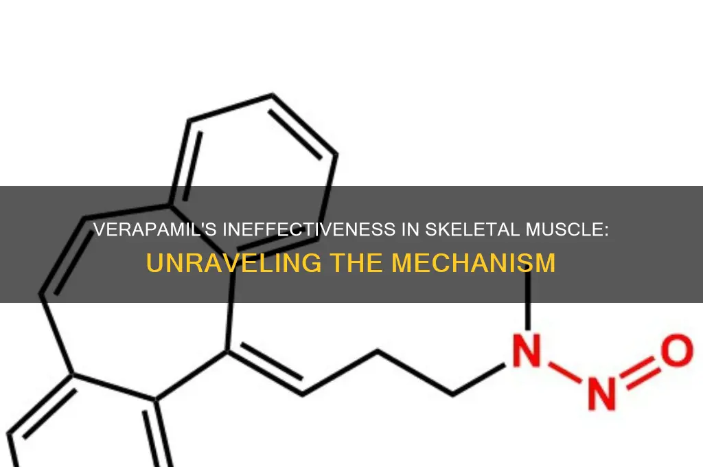 why does verapamil not work in skeletal muscle