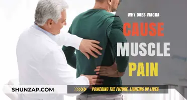 Understanding Viagra's Side Effects: Muscle Pain Explained and Managed