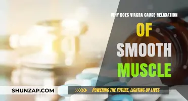 How Viagra Triggers Smooth Muscle Relaxation: A Scientific Explanation