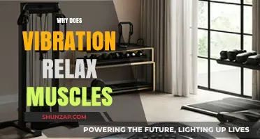 Vibration Therapy: How It Relieves Muscle Tension and Promotes Relaxation